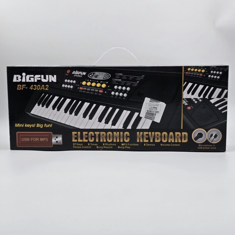 ارگ و کیبورد الکترونیکی ۳۷ کلید بیگفان BIGFUN مدل BF-430A2 به همراه میکروفون - Image 2