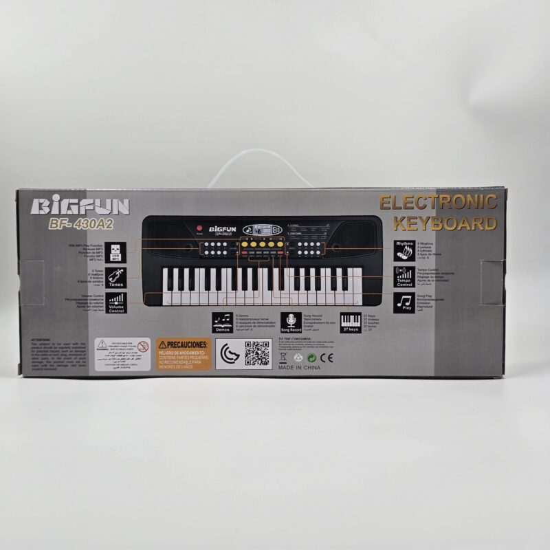ارگ و کیبورد الکترونیکی ۳۷ کلید بیگفان BIGFUN مدل BF-430A2 به همراه میکروفون - Image 3